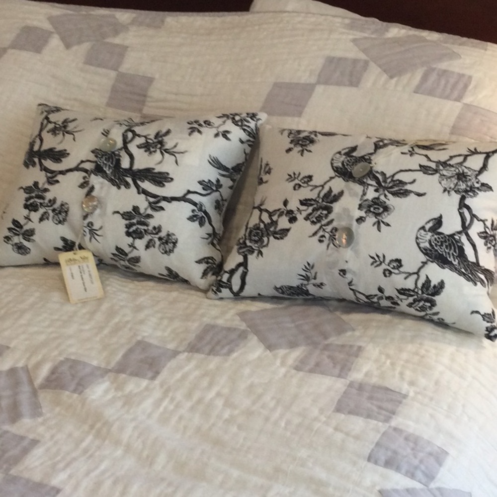 Bella Notte Bird Toile Boudoir Pillows NWT Mother of Pearl buttons SET OF 2 RARE